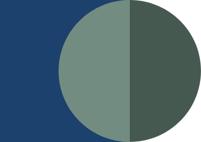 Dream Collection Icon